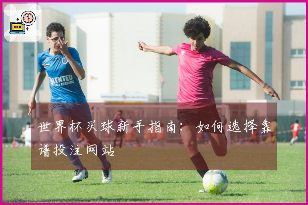世界杯买球新手指南：如何选择靠谱投注网站