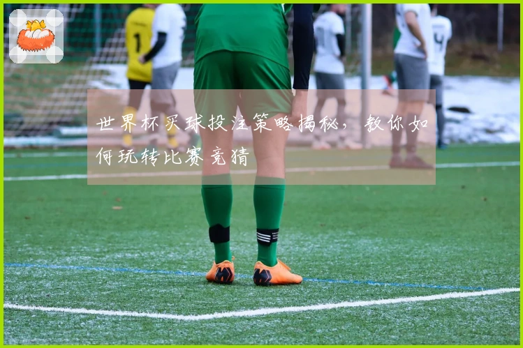 世界杯买球投注策略揭秘，教你如何玩转比赛竞猜