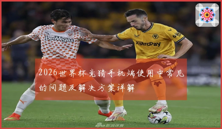 2026世界杯竞猜手机端使用中常见的问题及解决方案详解
