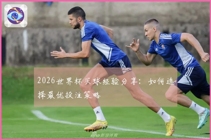 2026世界杯买球经验分享：如何选择最优投注策略