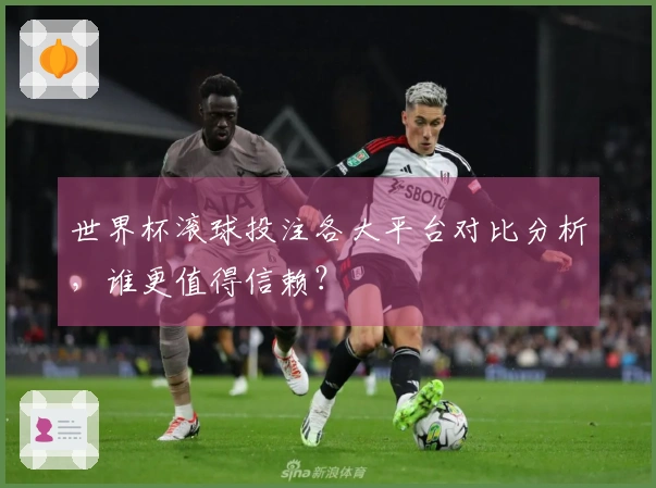 世界杯滚球投注各大平台对比分析，谁更值得信赖？