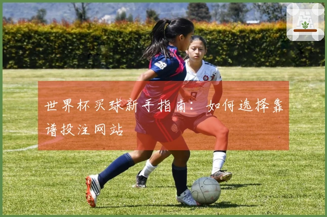 世界杯买球新手指南：如何选择靠谱投注网站