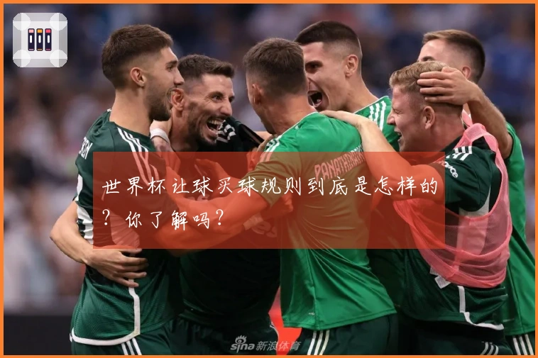 世界杯让球买球规则到底是怎样的？你了解吗？