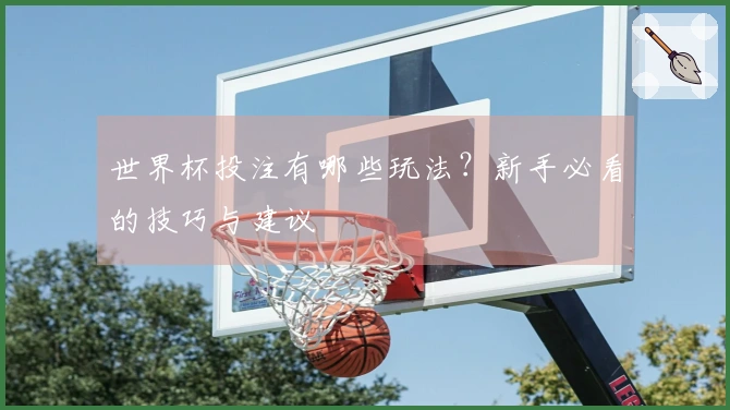 世界杯投注有哪些玩法？新手必看的技巧与建议