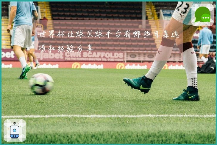 世界杯让球买球平台有哪些可靠选项和经验分享