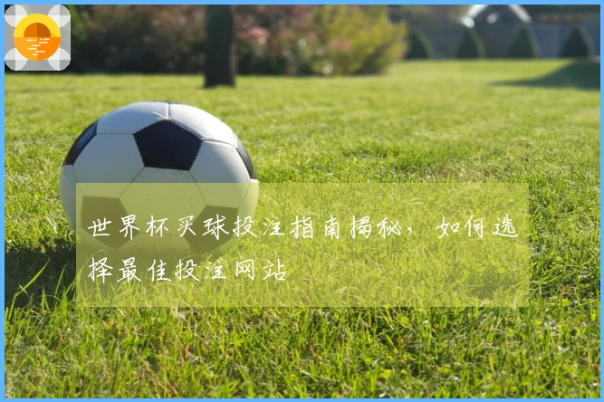 世界杯买球投注指南揭秘，如何选择最佳投注网站