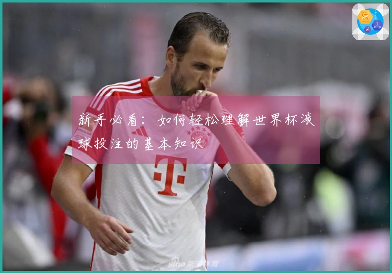 新手必看：如何轻松理解世界杯滚球投注的基本知识