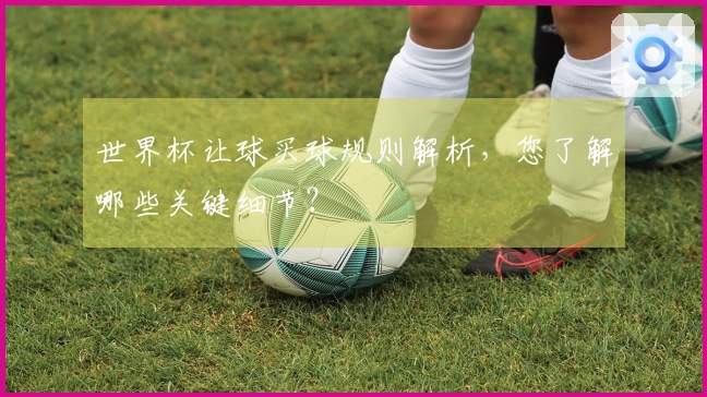 世界杯让球买球规则解析，您了解哪些关键细节？