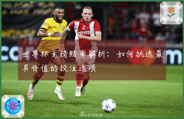 世界杯竞猜赔率解析：如何挑选最具价值的投注选项