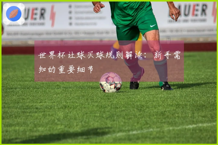 世界杯让球买球规则解读：新手需知的重要细节