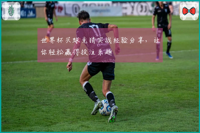 世界杯买球竞猜实战经验分享，让你轻松赢得投注乐趣
