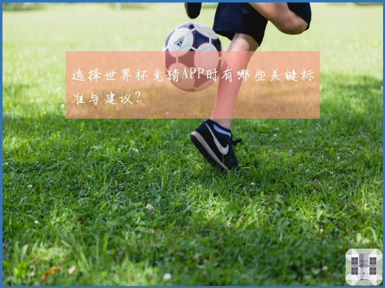 选择世界杯竞猜APP时有哪些关键标准与建议？