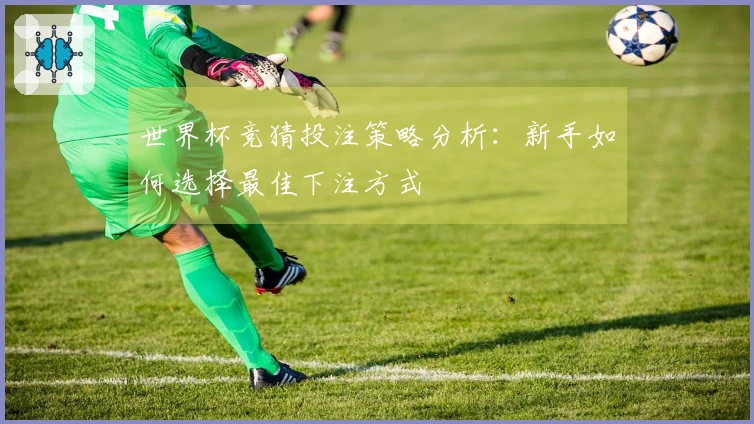 世界杯竞猜投注策略分析：新手如何选择最佳下注方式