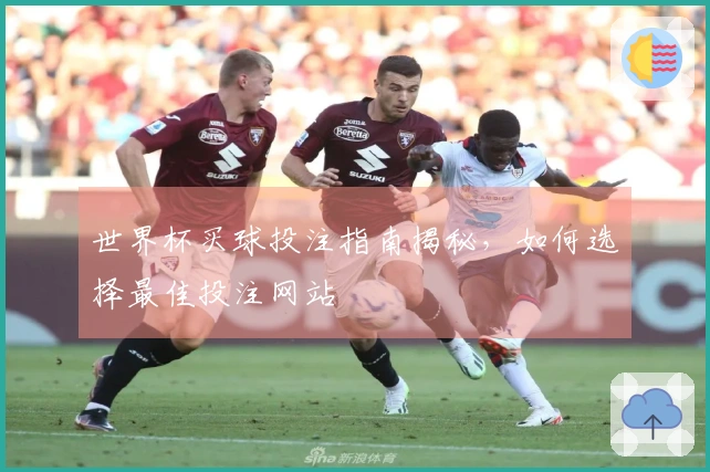世界杯买球投注指南揭秘，如何选择最佳投注网站