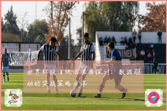 世界杯投注玩法深度探讨：数据驱动的实战策略分享