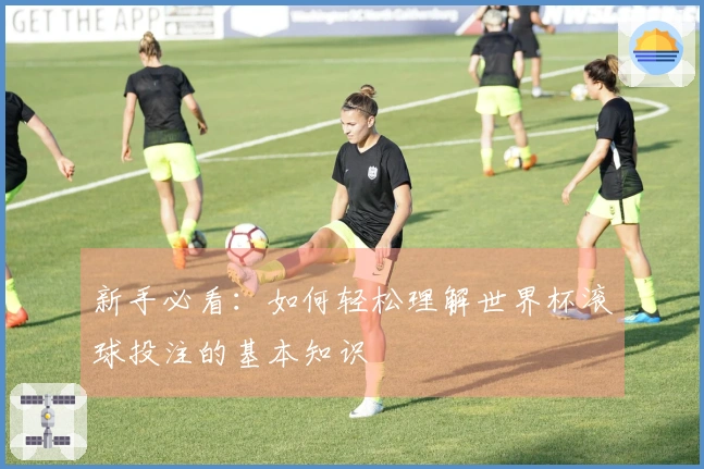 新手必看：如何轻松理解世界杯滚球投注的基本知识
