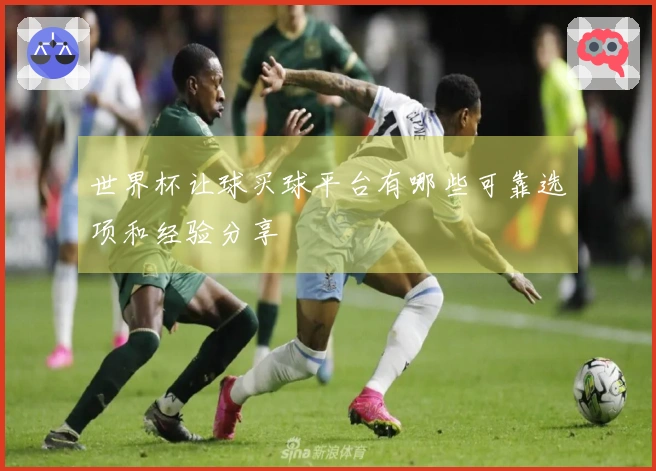 世界杯让球买球平台有哪些可靠选项和经验分享