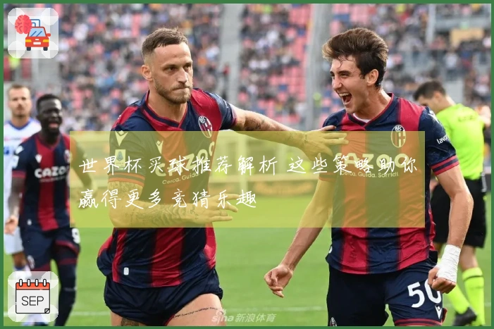 世界杯买球推荐解析 这些策略助你赢得更多竞猜乐趣