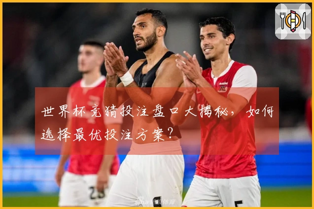 世界杯竞猜投注盘口大揭秘，如何选择最优投注方案？