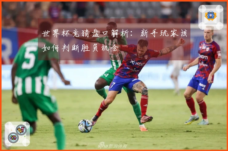 世界杯竞猜盘口解析：新手玩家该如何判断胜负机会