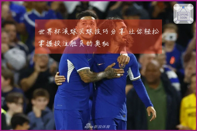 世界杯滚球买球技巧分享 让你轻松掌握投注胜负的奥秘